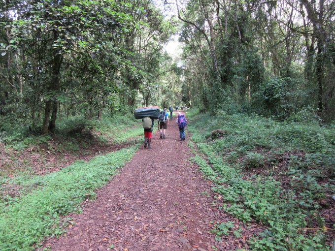 Ein bequemer Start - Machame Route